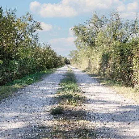 Le Petit Bordes - Li Biou *