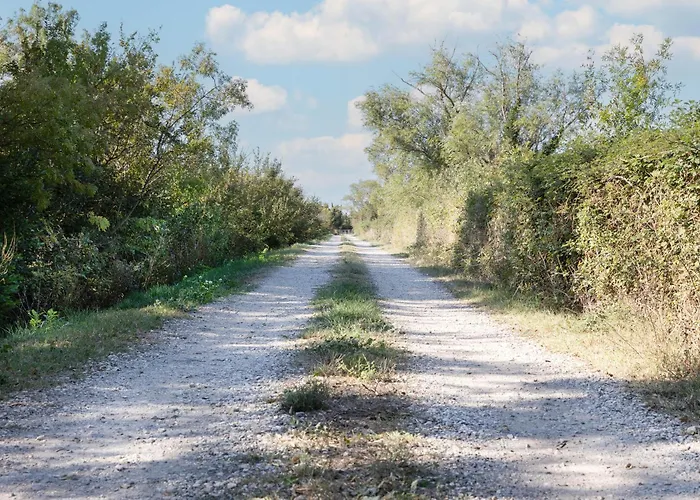 Le Petit Bordes - Li Biou *