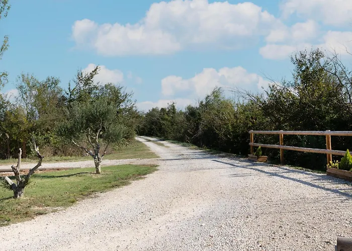 Le Petit Bordes - Li Biou * エマルグ